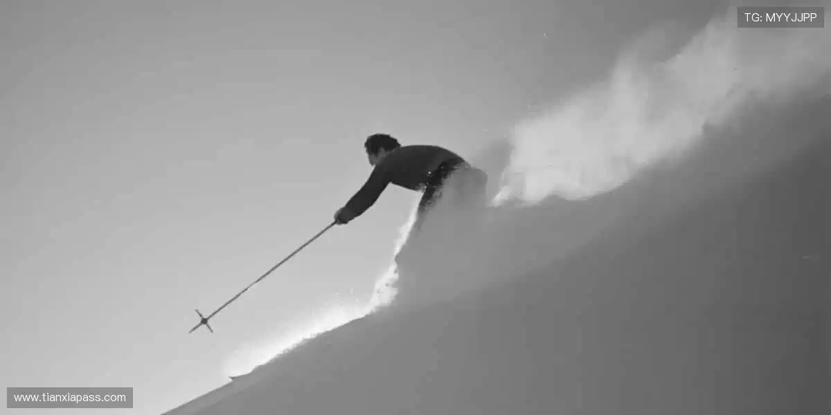 ⚽️ 赛事盛宴，激情永不落幕！